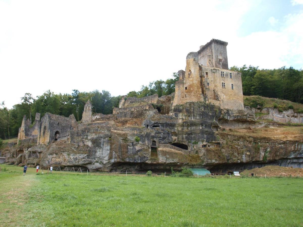 Peyzac-le-Moustier Cozy Cottage In Aquitaine With Private Swimming Pool מראה חיצוני תמונה