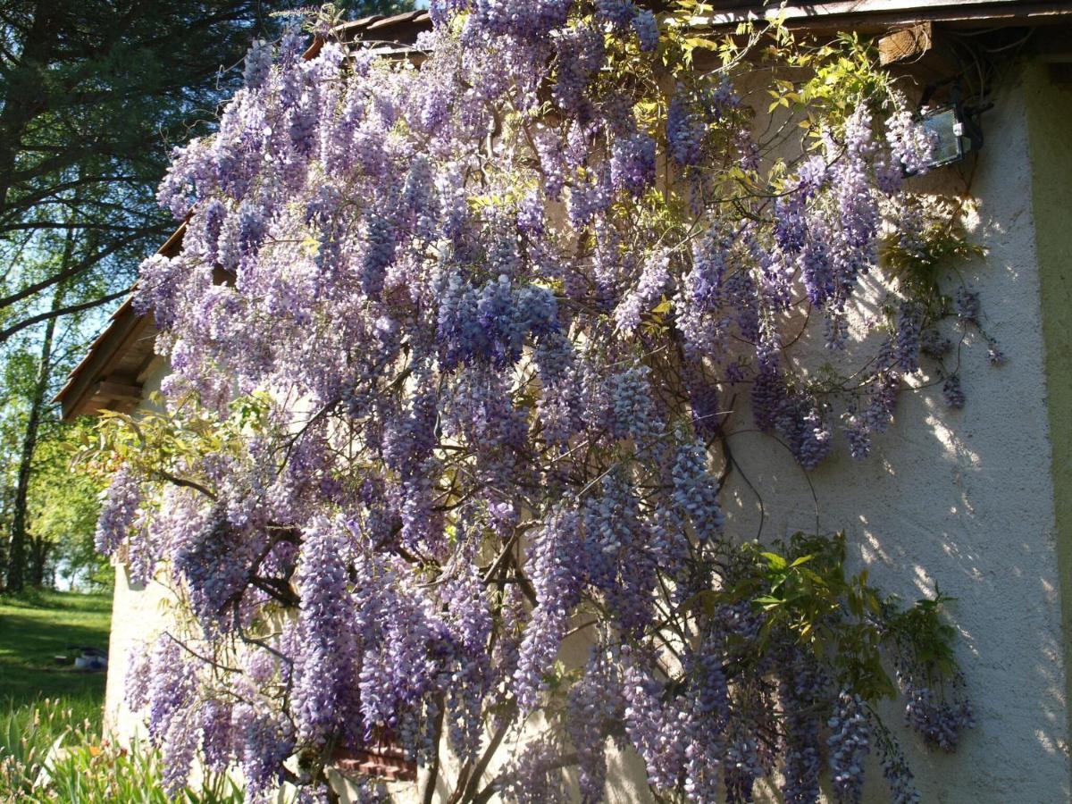 Peyzac-le-Moustier Cozy Cottage In Aquitaine With Private Swimming Pool מראה חיצוני תמונה